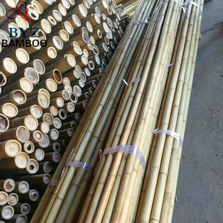 Moso Bamboo Cane for Decoration and Construction