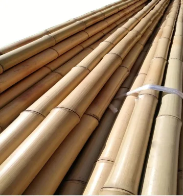 Moso Bambusrohr für Dekoration und Bau