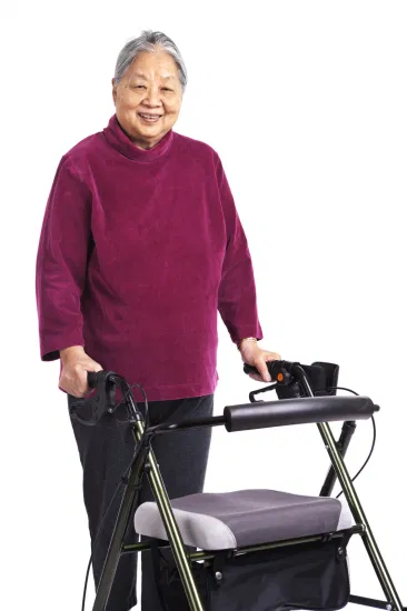 Günstiger Preis und schnelle Lieferung Brother Medical Aluminium Rollator mit ISO